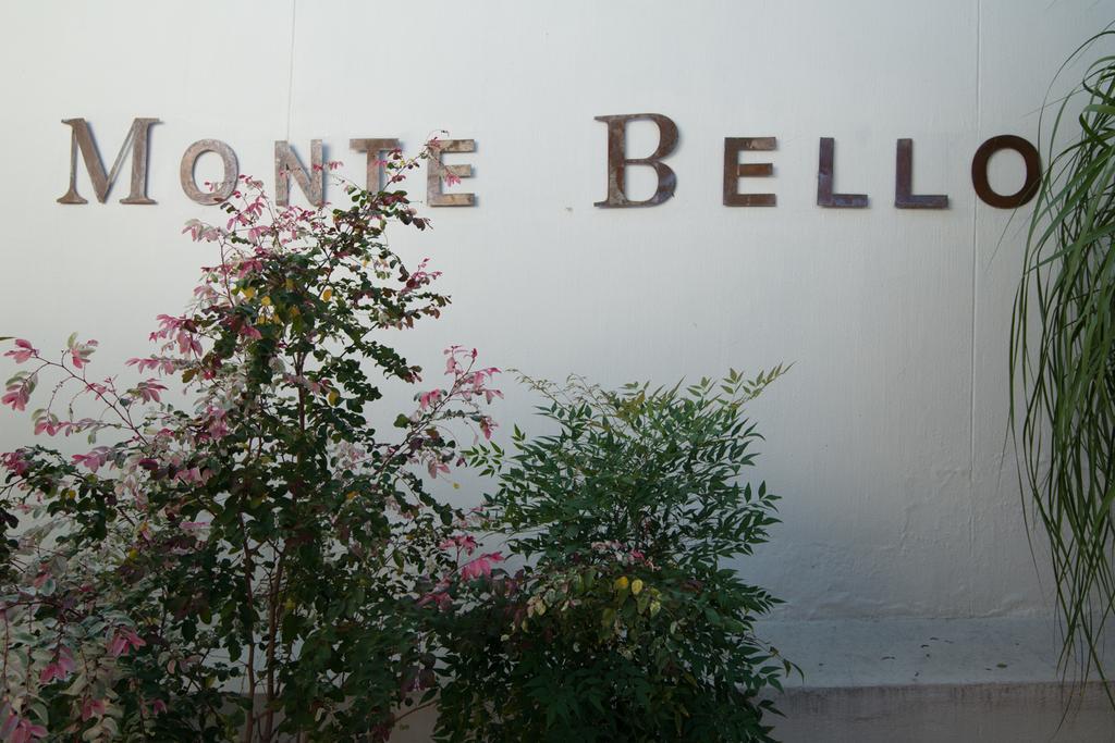 Montebello Guesthouse 温特和克 外观 照片